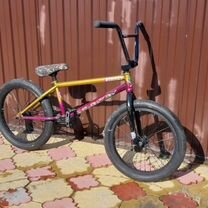 GT Team Mercado BMX