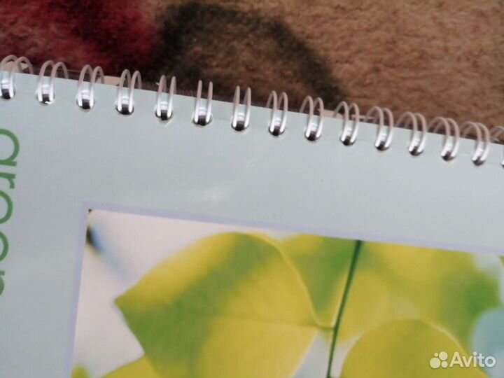 Тетрадь общая ф А4 новые