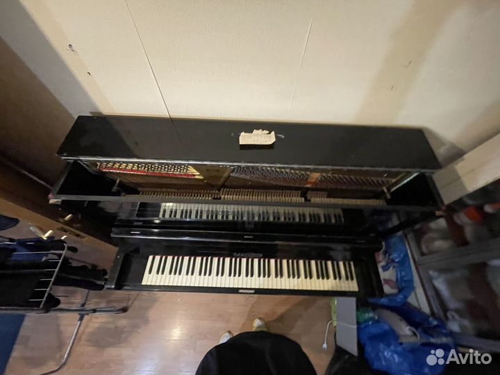 Пианино бесплатно