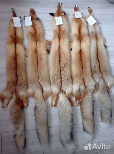 Шкуры лисы