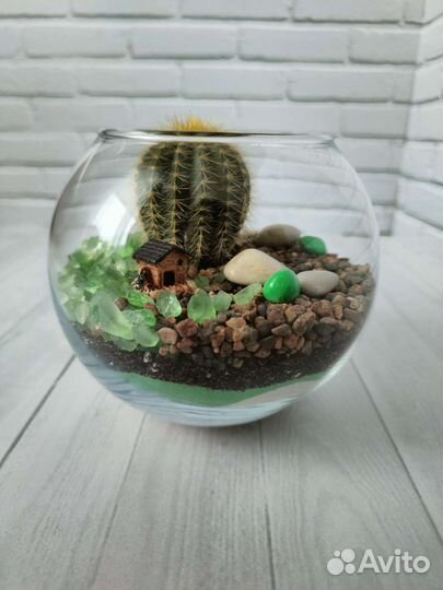 Флорариум, цветы, подарок