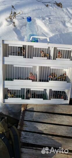 Продам транспордер (переноску) для птиц