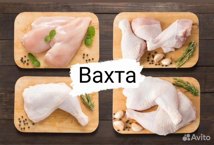 Изготовитель полуфабрикатов.Вахта