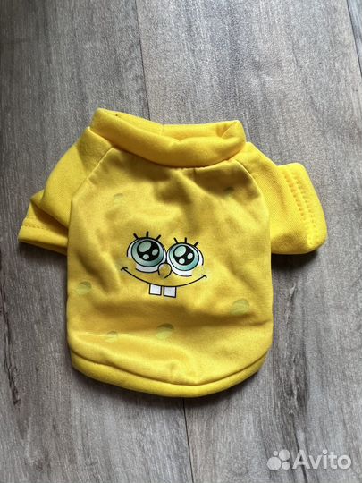 Одежда для собак чихуахуа