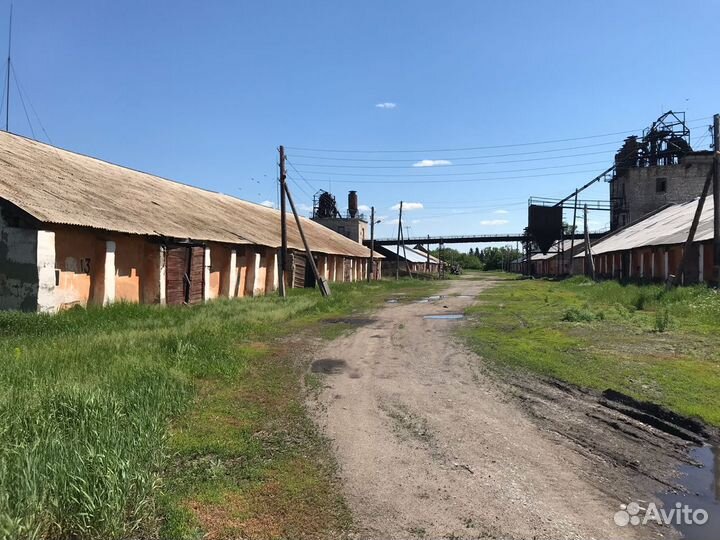 Продажа элеватора