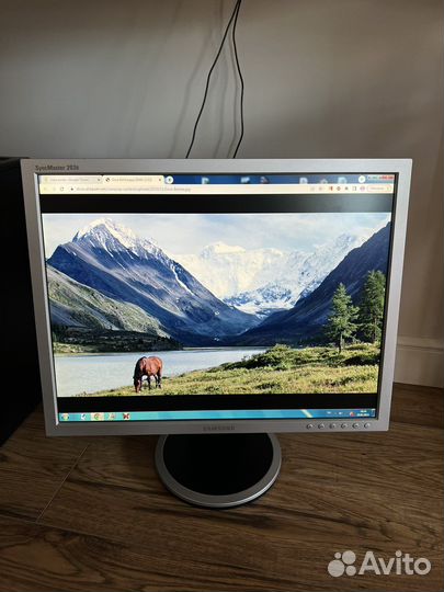 Монитор Samsung SyncMaster 203B 20