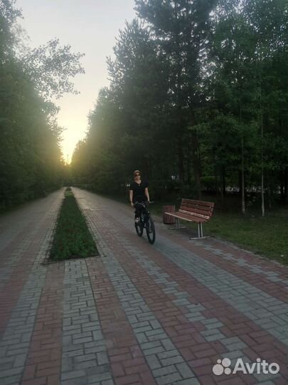 Руководитель, управляющий