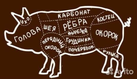Свинина / мясо / карбонат / шея / окорок / язык