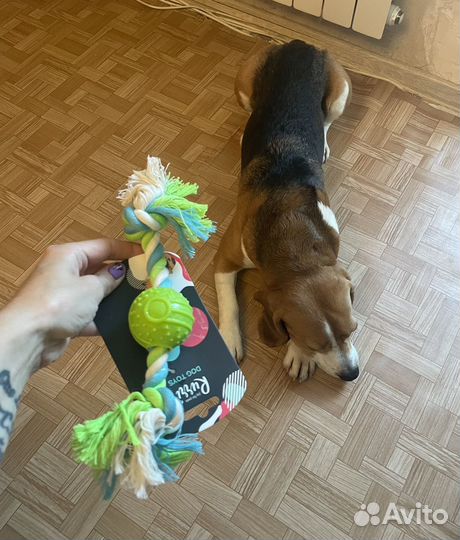 Игрушка для собак