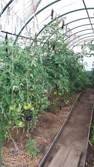 Дача 20 м² на участке 8 сот.