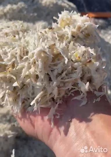 Свекловичный жом