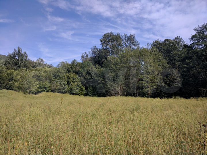 Участок 50 сот. (ИЖС)