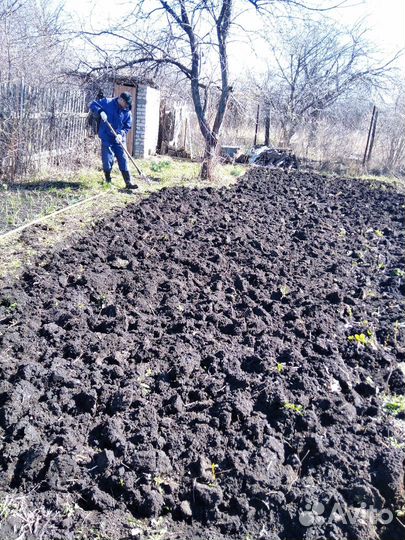 Землекопы- разнорабочие