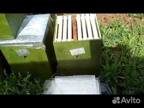 Мёд натуральный, ульи, ловушки, теплое дерево