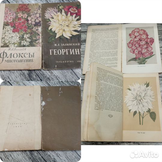 Книги по цветоводству СССР