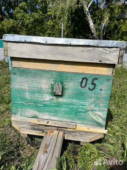Улей для пчел