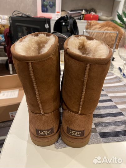 Ugg