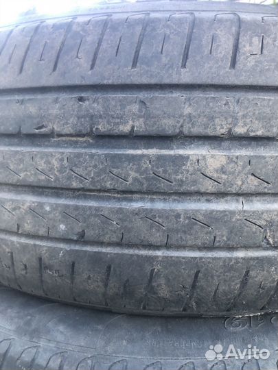 Pirelli Scorpion Verde 185/55 R19