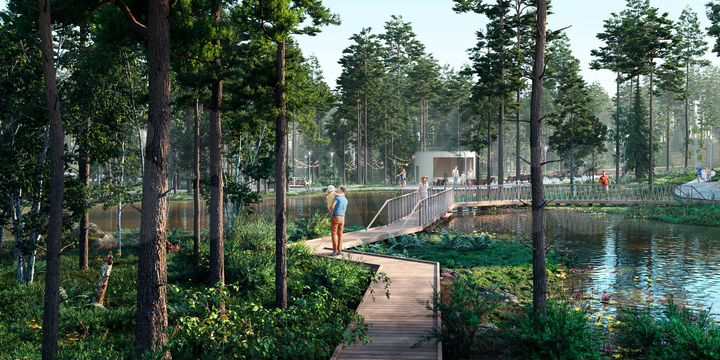 Участок 11 сот. (СНТ, ДНП)