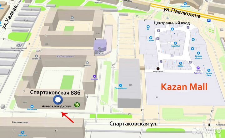 Аптеронотус - Черный Нож