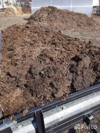 Конский навоз