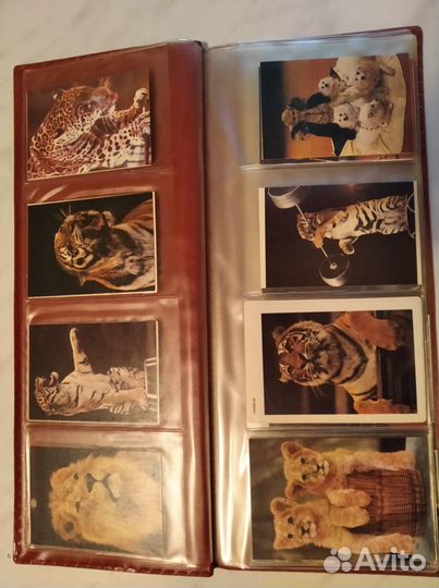 Календарики карманные коллекция 75 шт (тема-цирк)