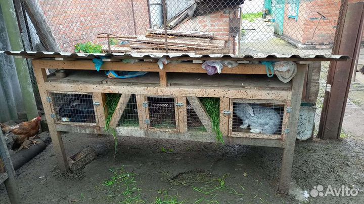 Клетка для кролика