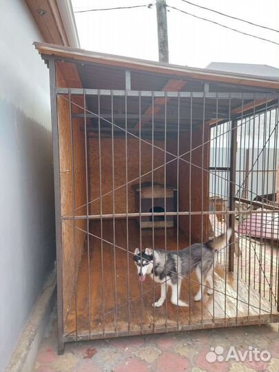 Вольер для собак б/у уличный