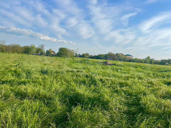 Участок 44,3 сот. (ИЖС)