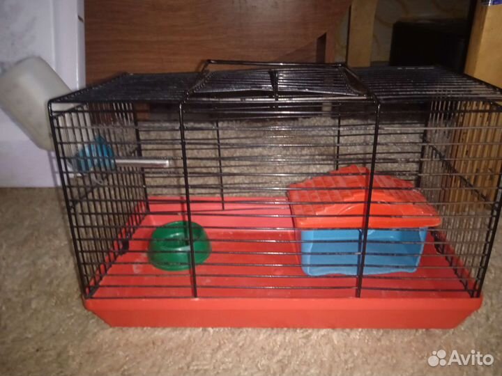 Клетка для хомяка. временная