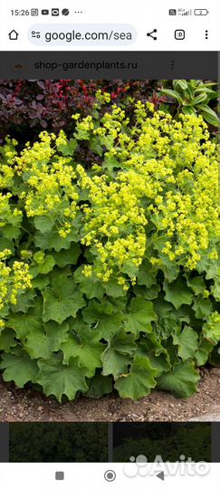 Манжетка мягкая