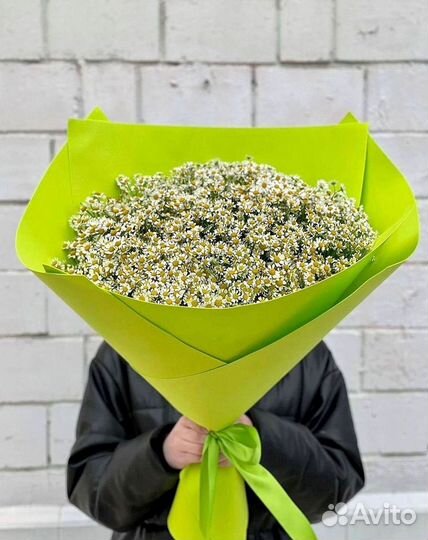 Цветы ромашки. Букеты ромашек. Цветы доставка