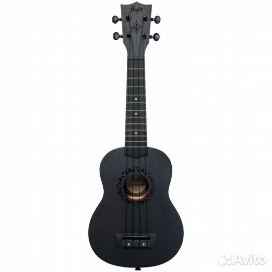 Flight NUS310 blackbird