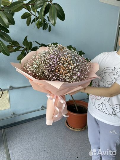 Живые цветы букеты из гипсофилы