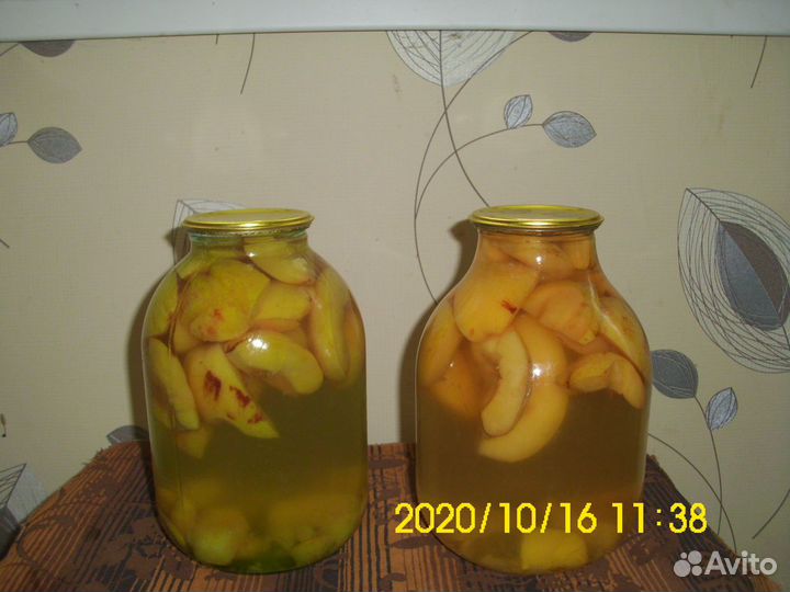 Веточки сливы, кизила, вишни, айвы и др