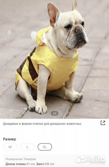 Костюм для собаки