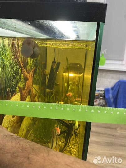 Аквариум 90 литров с рыбками