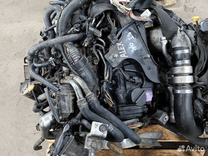 Двигатель Nissan Pathfinder YD25ddti