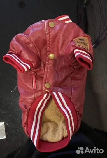 Одежда для собак мелких пород пакетом