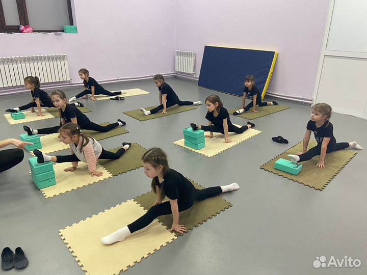 Художественная гимнастика / растяжка / акробатика