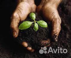 Перегной Песок Навоз Торф Дрова Опил Лузга