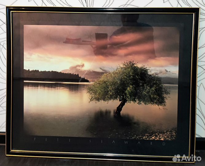 Интерьерная картина фото постер 50х70см