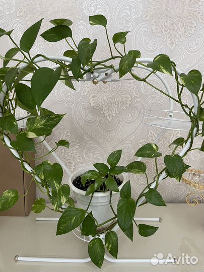 Подставка для цветов