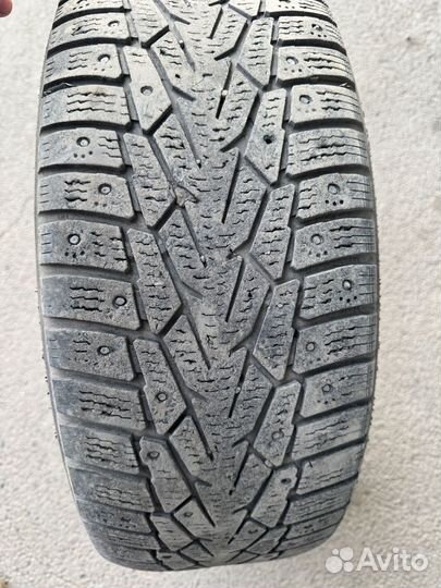 Nokian Tyres Nordman 7 205/65 R16