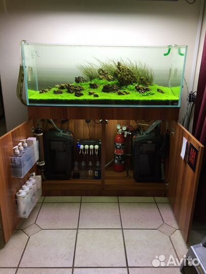 Оформление аквариумов,консультации,коряги