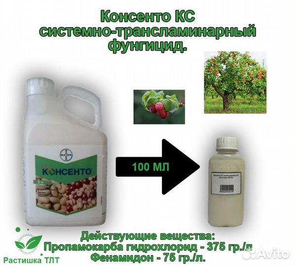 Консенто кс комбинированный фунгицид 100 мл