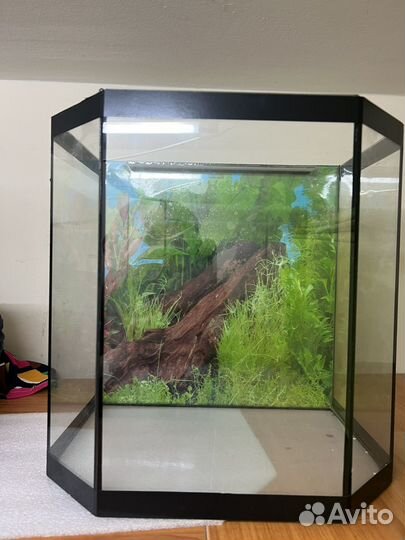 Аквариум
