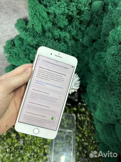iPhone 8 Plus, 256 ГБ