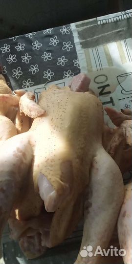Масо бройлера
