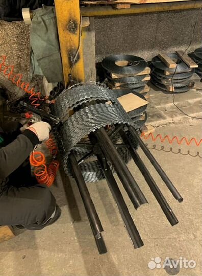 Колючая проволока егоза